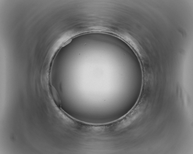 X0000112971381200909171309