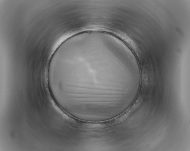 X0000112971382200909171309