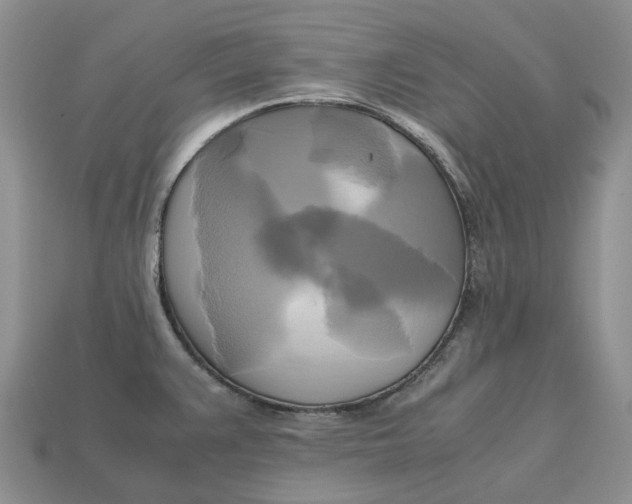 X0000112971383200909171309