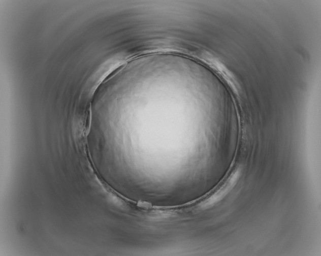 X0000112971385200909171309