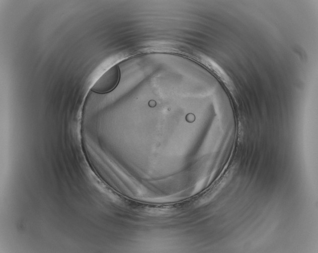 X0000112971386200909171309