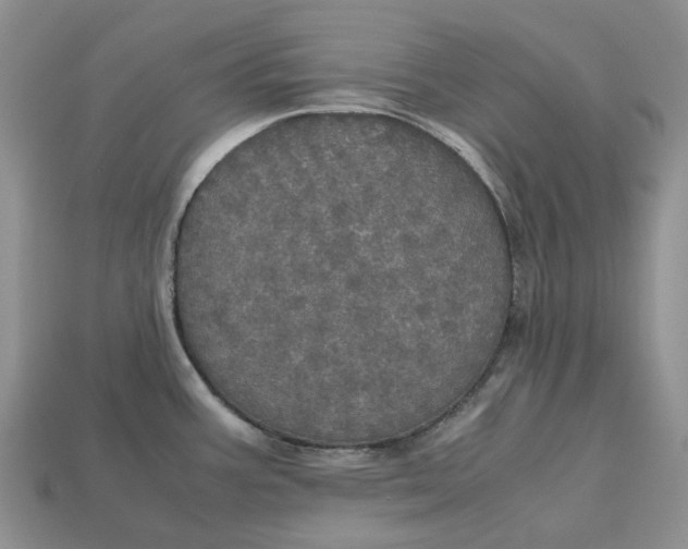 X0000112971387200909171309