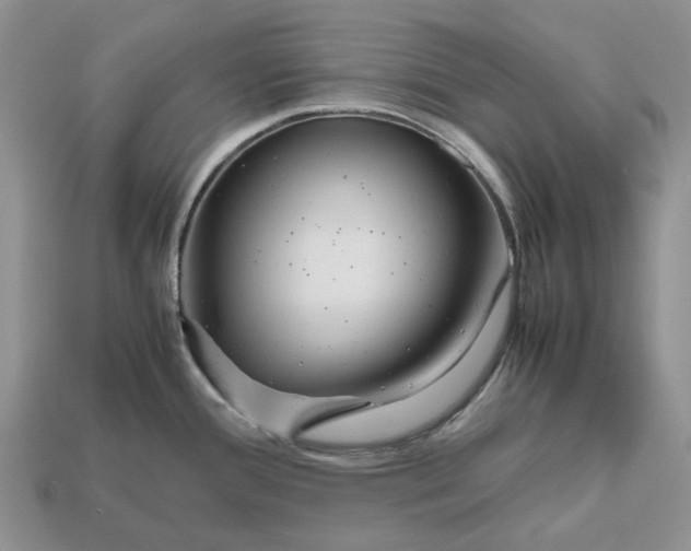 X0000112971388200909171309