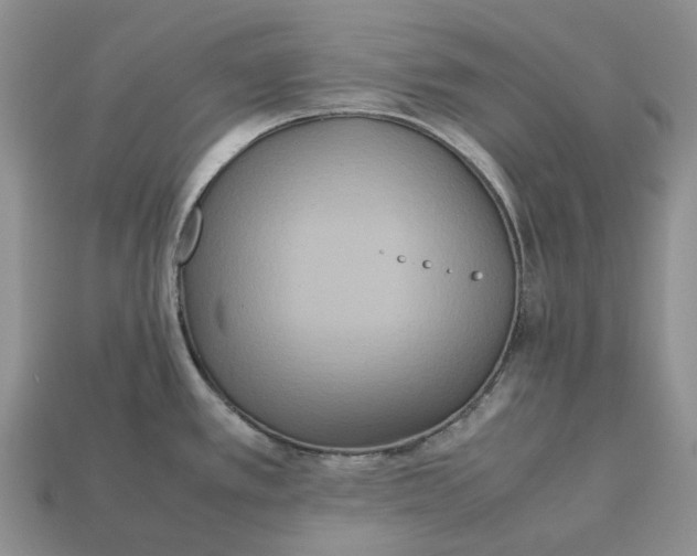 X0000112971389200909171309