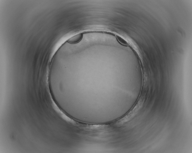 X0000112971390200909171309