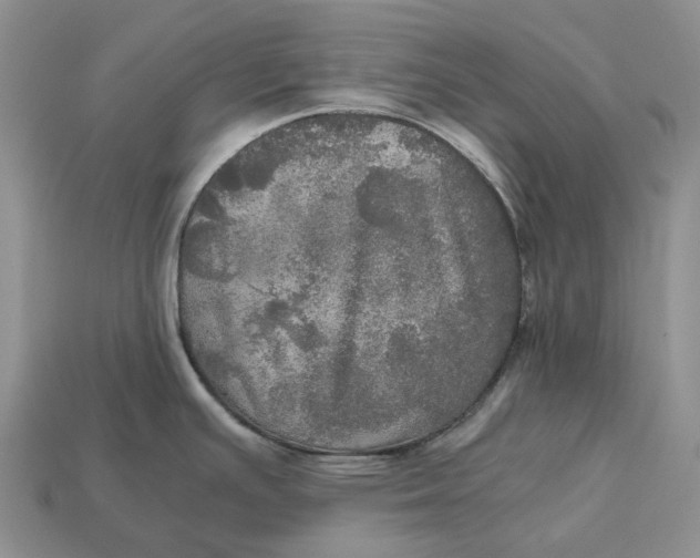 X0000112971391200909171309