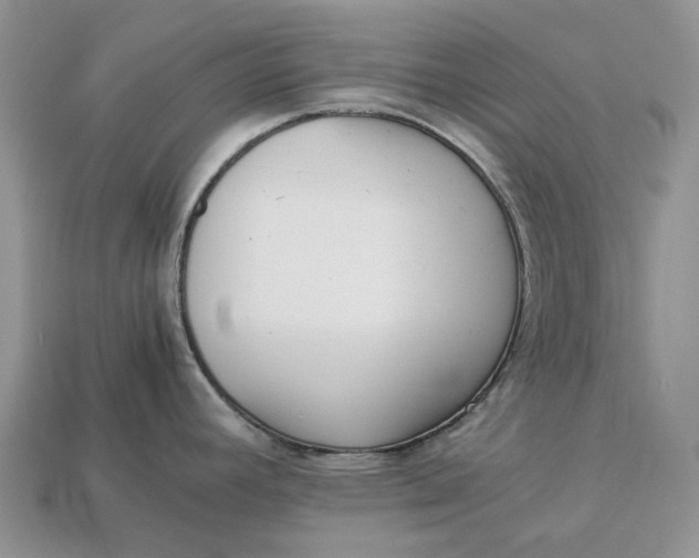 X0000112971392200909171309