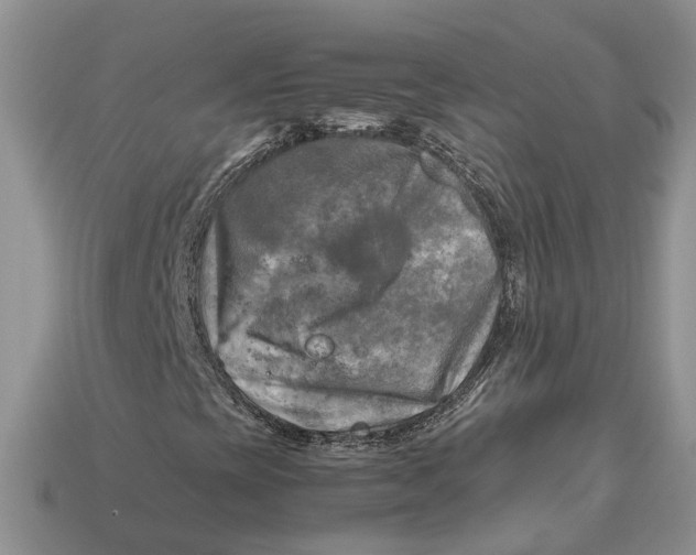 X0000112971393200909171308