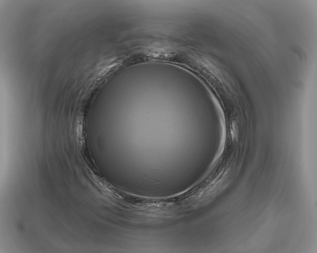 X0000112971396200909171308