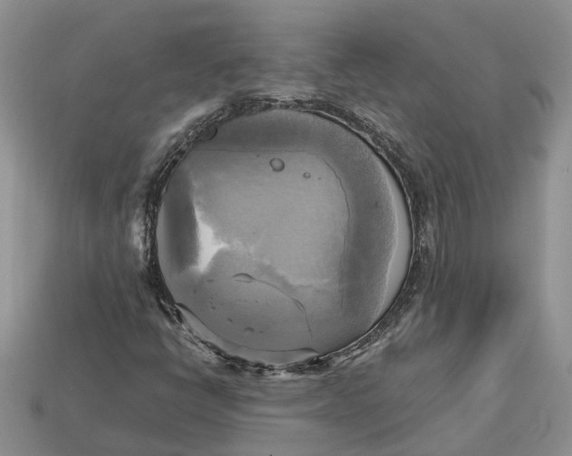 X0000112971398200909171308