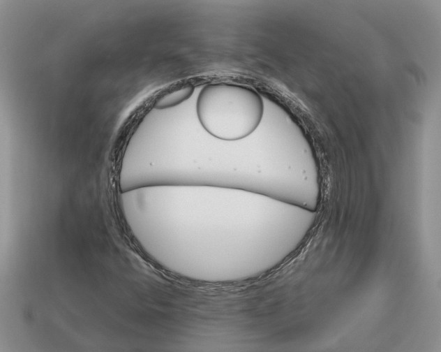 X0000112971400200909171308