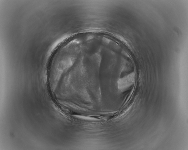 X0000112971406200909171308