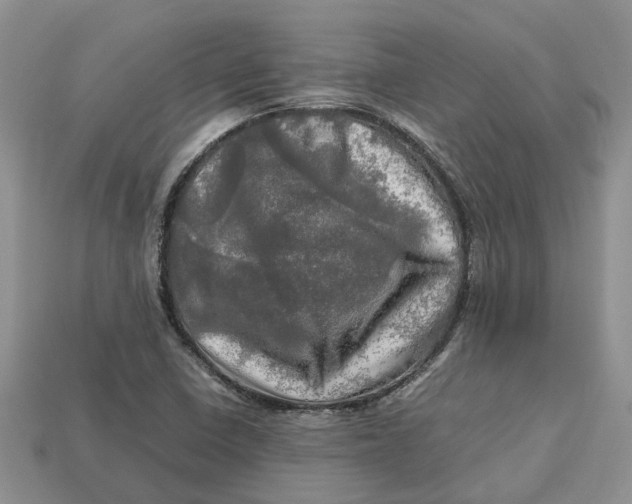 X0000112971410200909171309