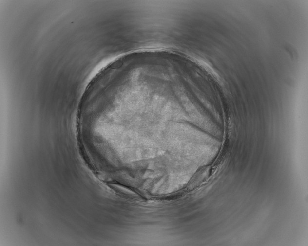 X0000112971412200909171309