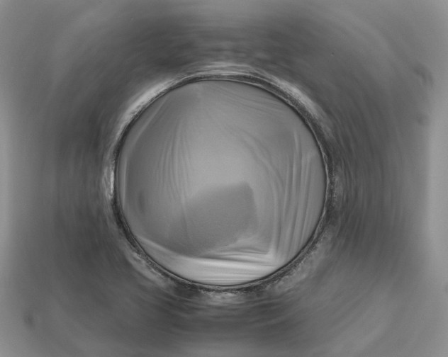 X0000112971413200909171309