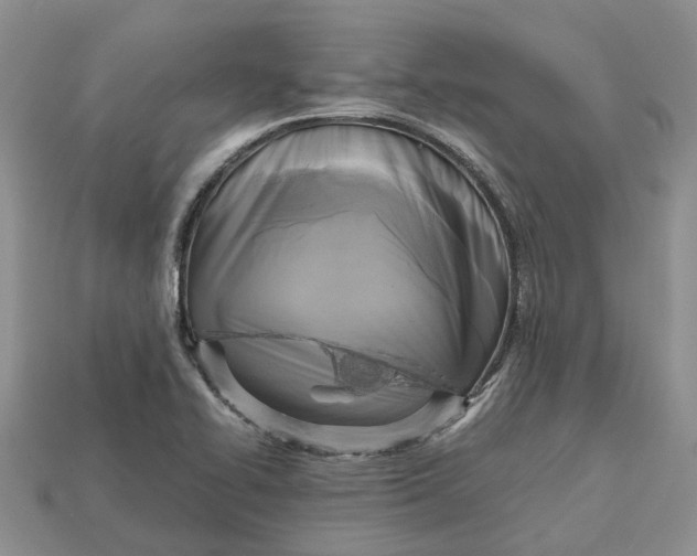 X0000112971414200909171309