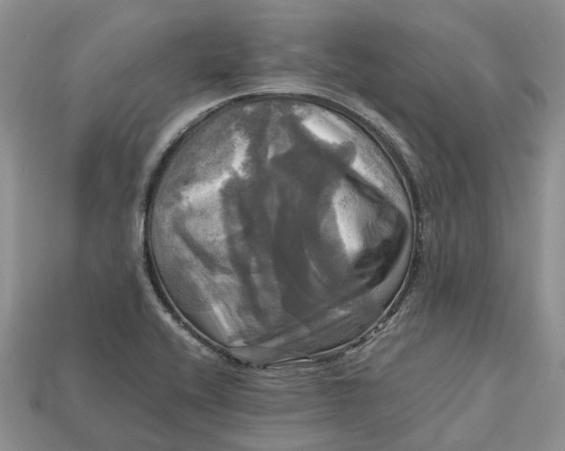 X0000112971416200909171309