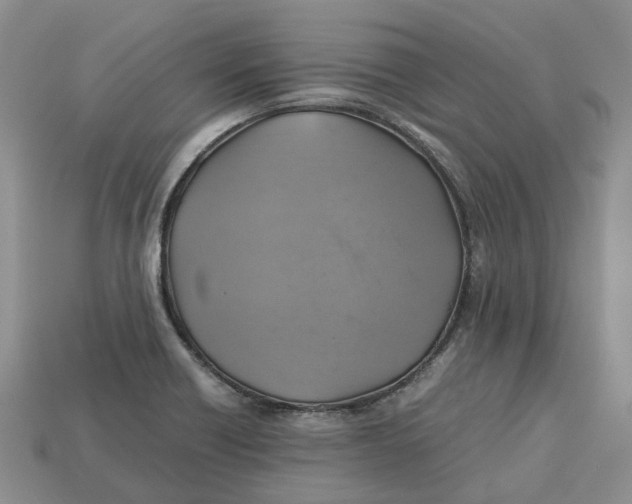 X0000112971418200909171309