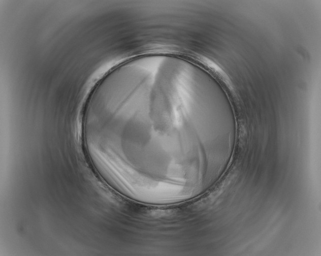 X0000112971419200909171309