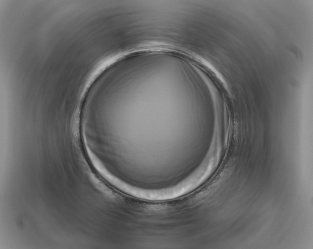 X0000112971421200909171309