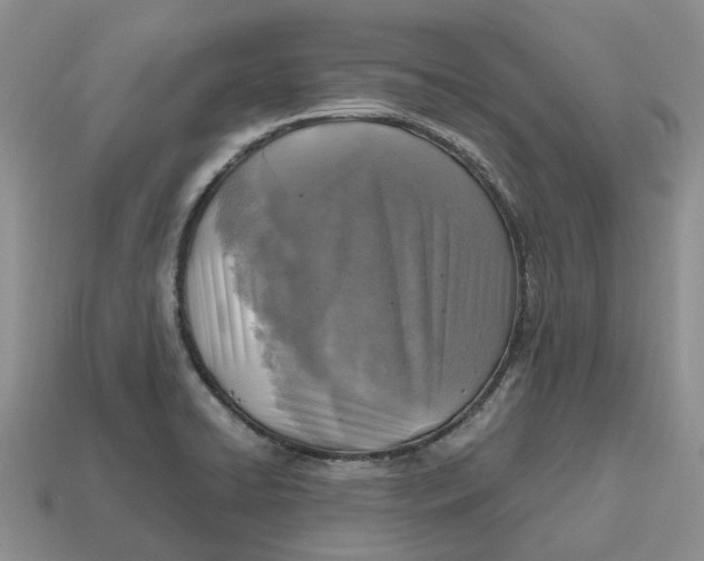 X0000112971422200909171309