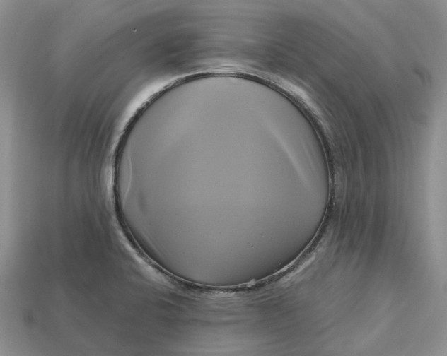 X0000112971424200909171309