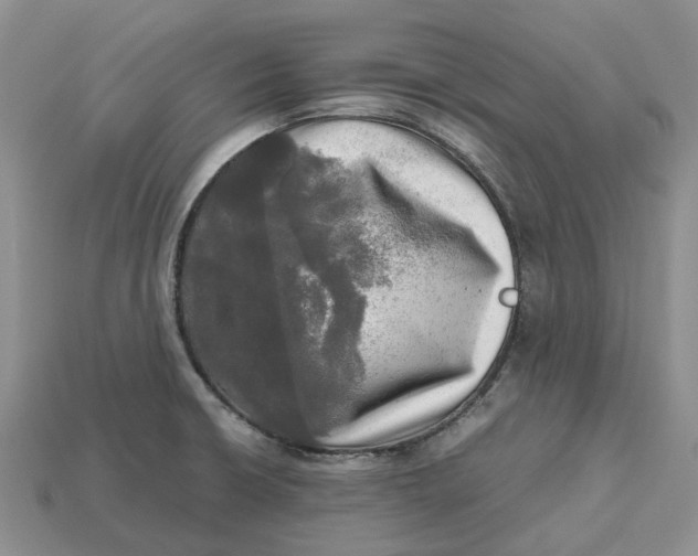 X0000112971426200909171309