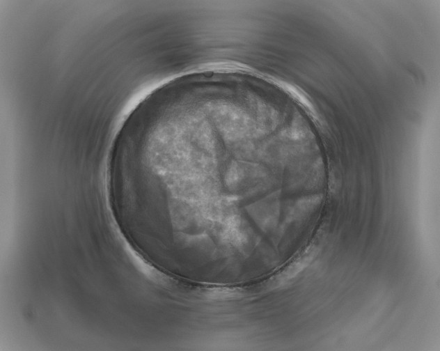 X0000112971430200909171309