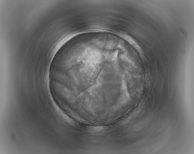 X0000112971431200909171309