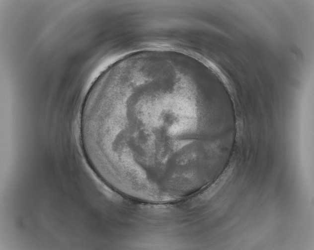 X0000112971432200909171309