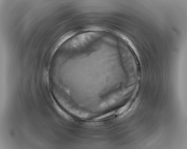 X0000112971433200909171309