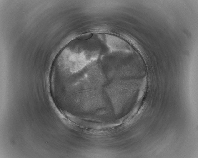 X0000112971434200909171309