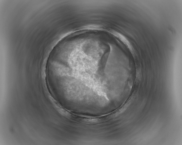 X0000112971435200909171309