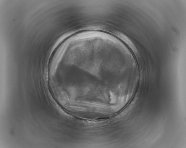 X0000112971436200909171309