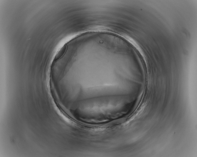 X0000112971437200909171309