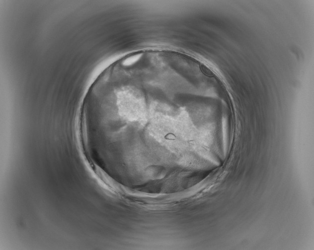 X0000112971440200909171309