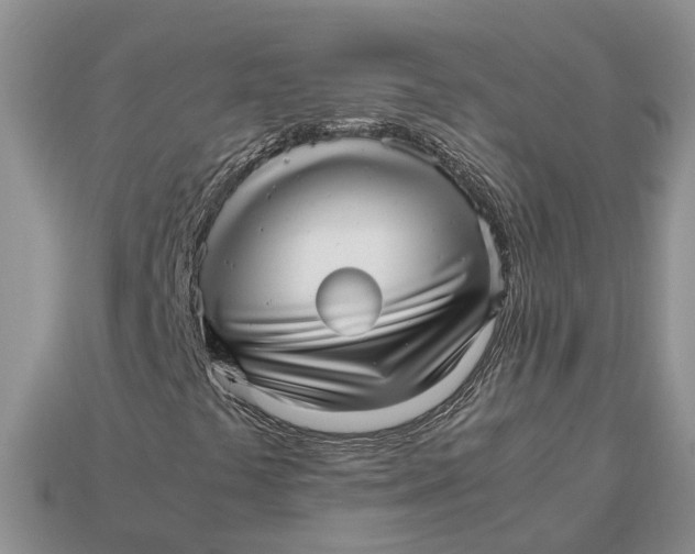 X0000112971441200909171308