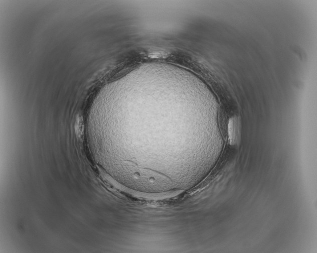 X0000112971443200909171308