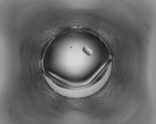 X0000112971444200909171308