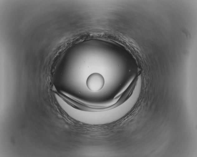 X0000112971445200909171308