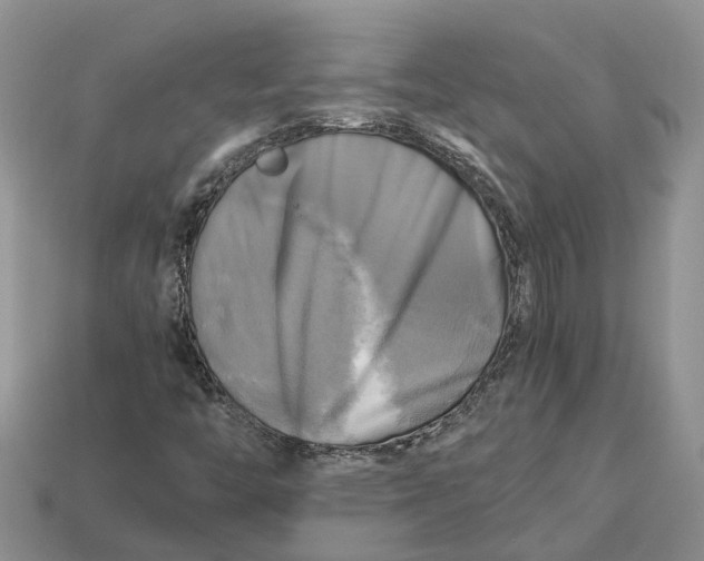 X0000112971446200909171308