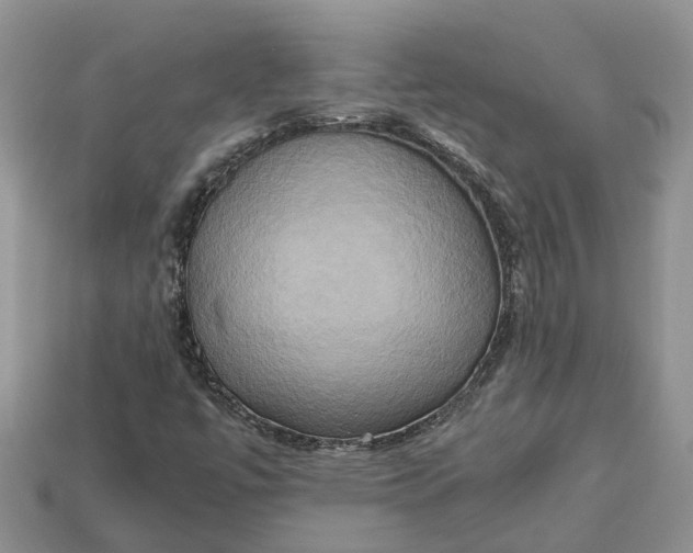 X0000112971447200909171308