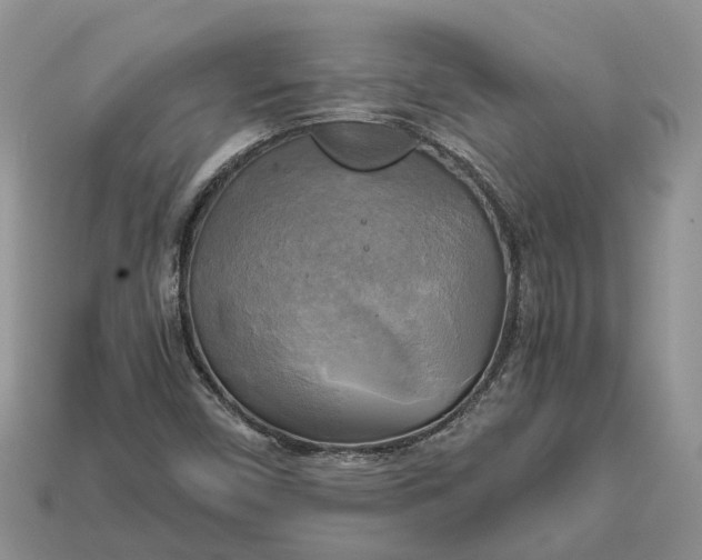 X0000112971450200909171308