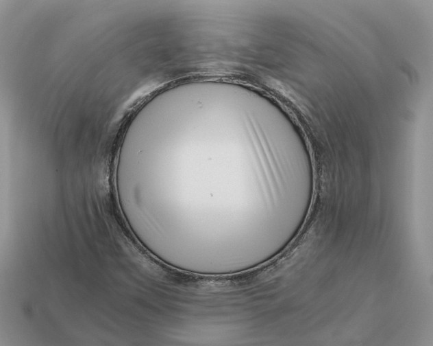 X0000112971451200909171308