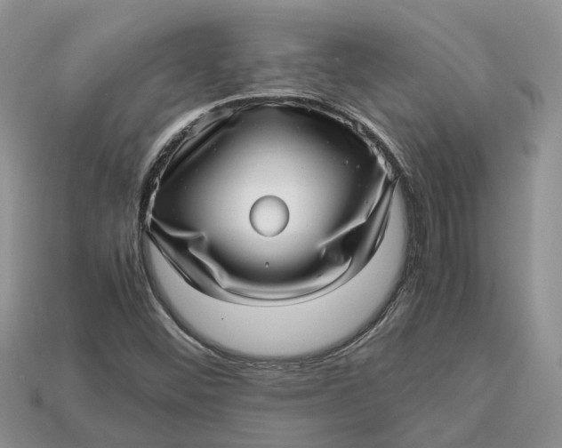 X0000112971452200909171308