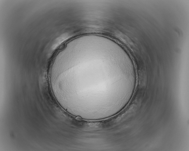 X0000112971453200909171308