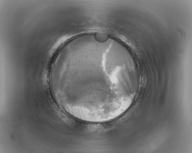 X0000112971454200909171308