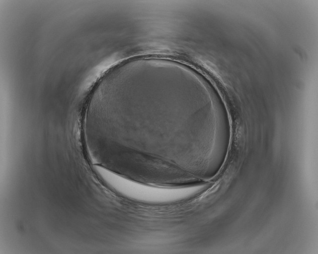 X0000112971455200909171308