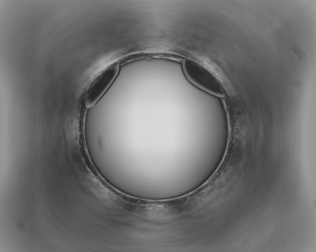 X0000112971456200909171308