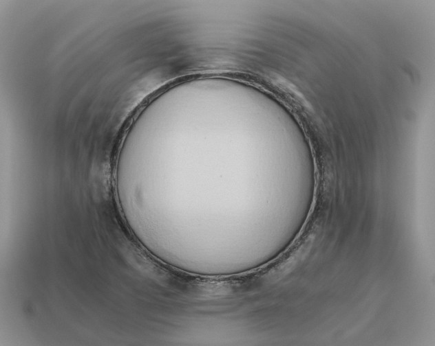 X0000112971457200909171308